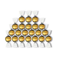 BAG 262G - DARK 70� - WEB